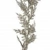 Cheap 🥰 6ft. Champagne Juniper Pine Garland by Ashland® 😉
