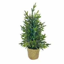 Cheapest 👍 18" ❄ Christmas Tree Tabletop Accent in Rattan Pot by Ashland® ✔️