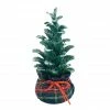 New 😍 8'' Small 🎅 Christmas Tree with Base Tabletop Décor by Ashland® ❤️