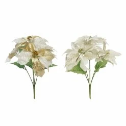 Best Pirce 😀 Assorted Poinsettia Bush by Ashland® 👏